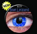 színes lencsék Crazy Lens Blue Leopard